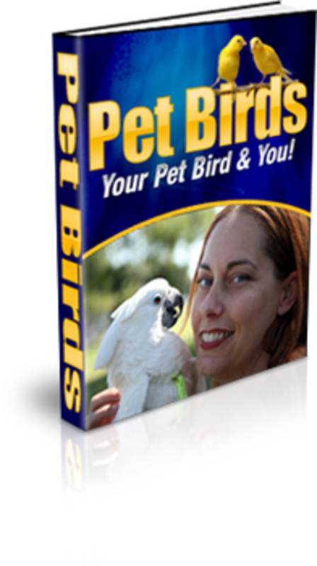 Product picture Pet Birds