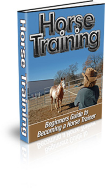 Product picture Horse Training